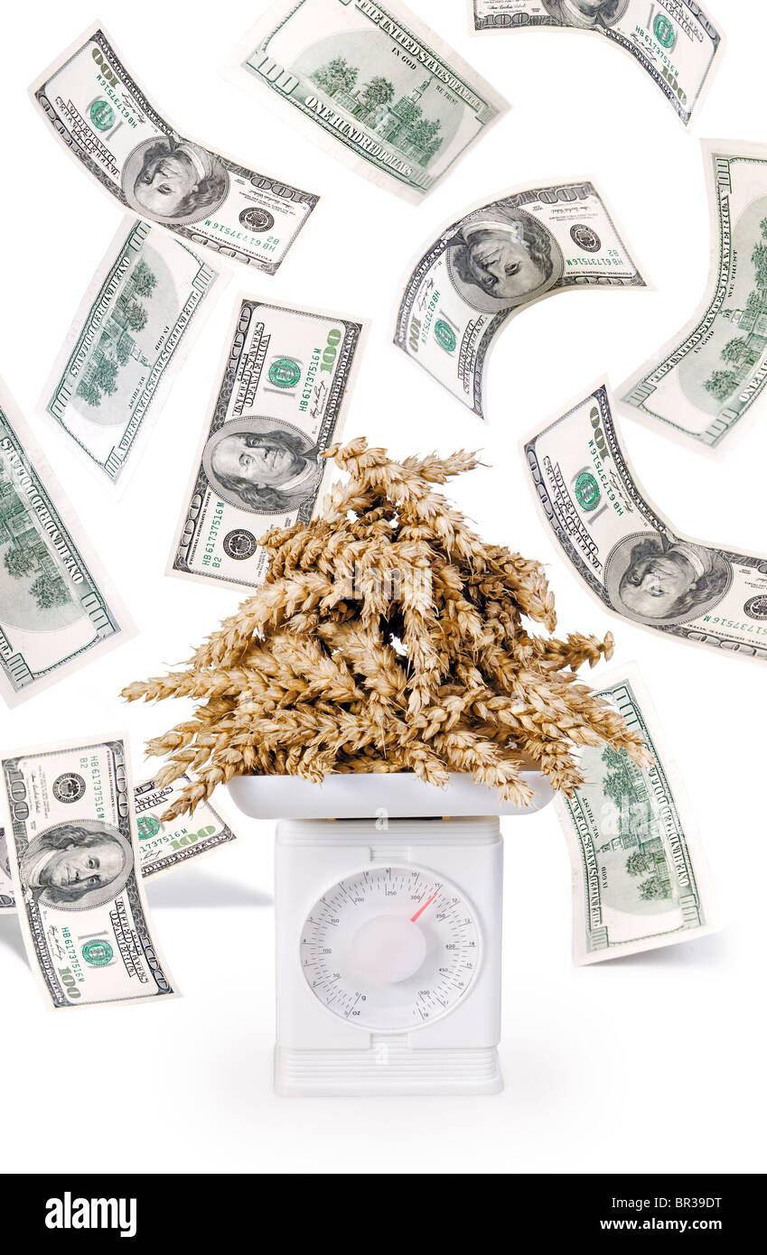 La pesée du grain Banque D'Images