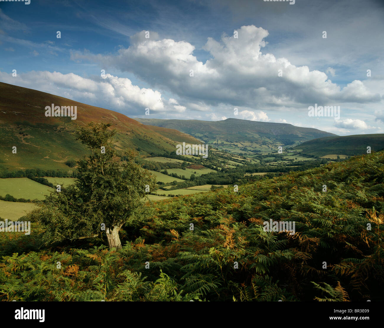 MYNYDD LLANGORSE VUE DE POWYS À VERS PENALLT MAWR MONTAGNES NOIRES POWYS Pays de Galles UK Banque D'Images