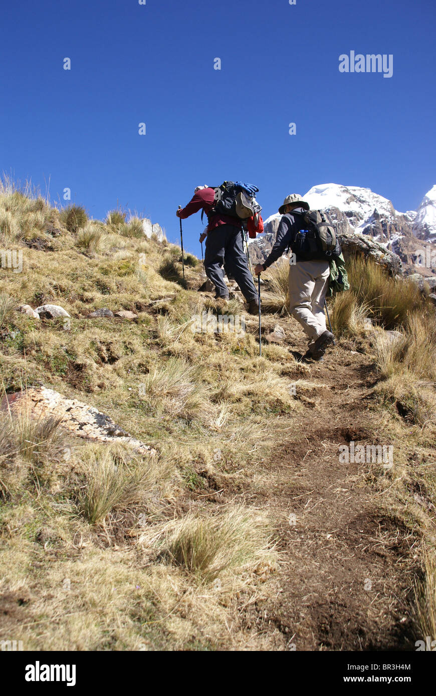 Randonneurs sur le sentier dans les hautes Andes Cordillère Huayhuash,, Andes, Pérou, Amérique du Sud Banque D'Images