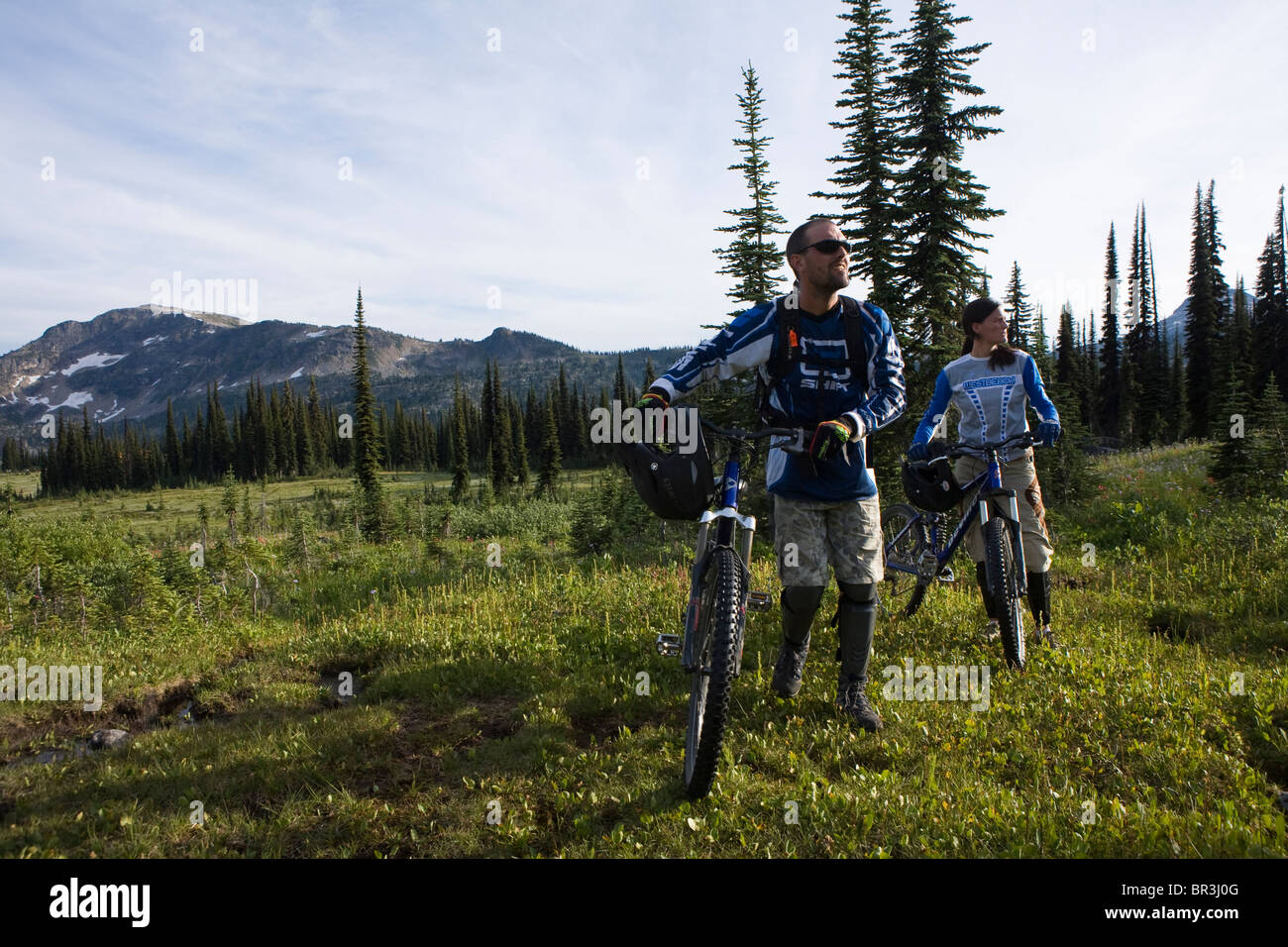 Cycliste en prairie alpine, Sol Mountain, BC Banque D'Images