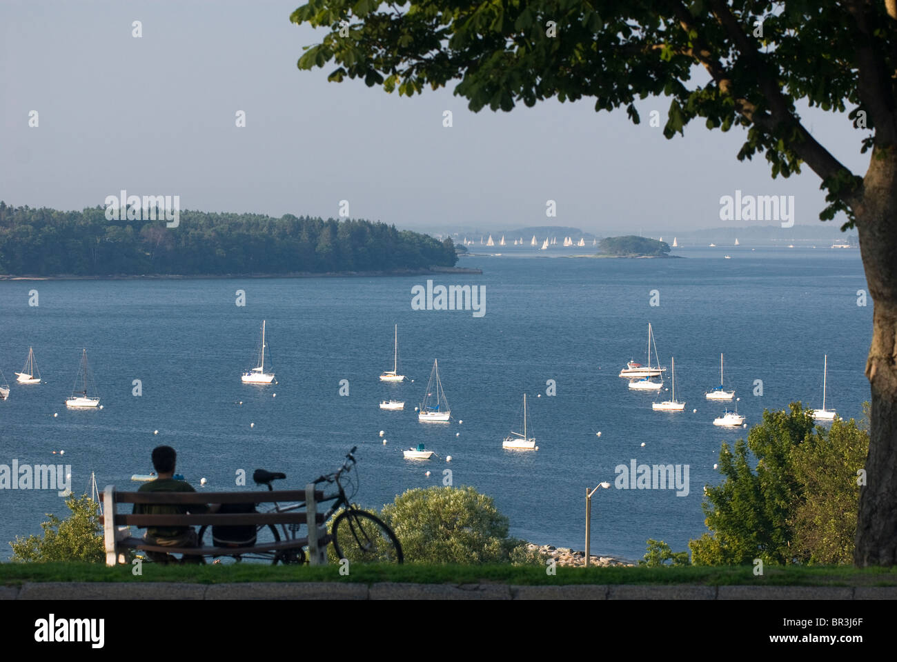 Un homme assis dans le parc surplombant la baie de midcoast Maine. La Nouvelle Angleterre. Banque D'Images