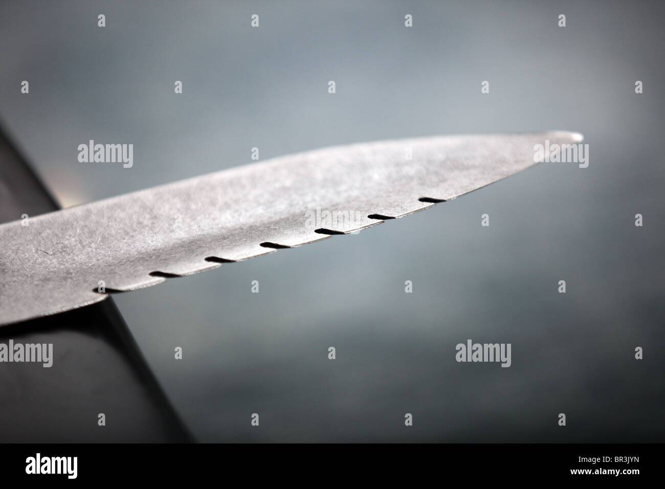 Grand couteau dentelé Sharp Banque D'Images