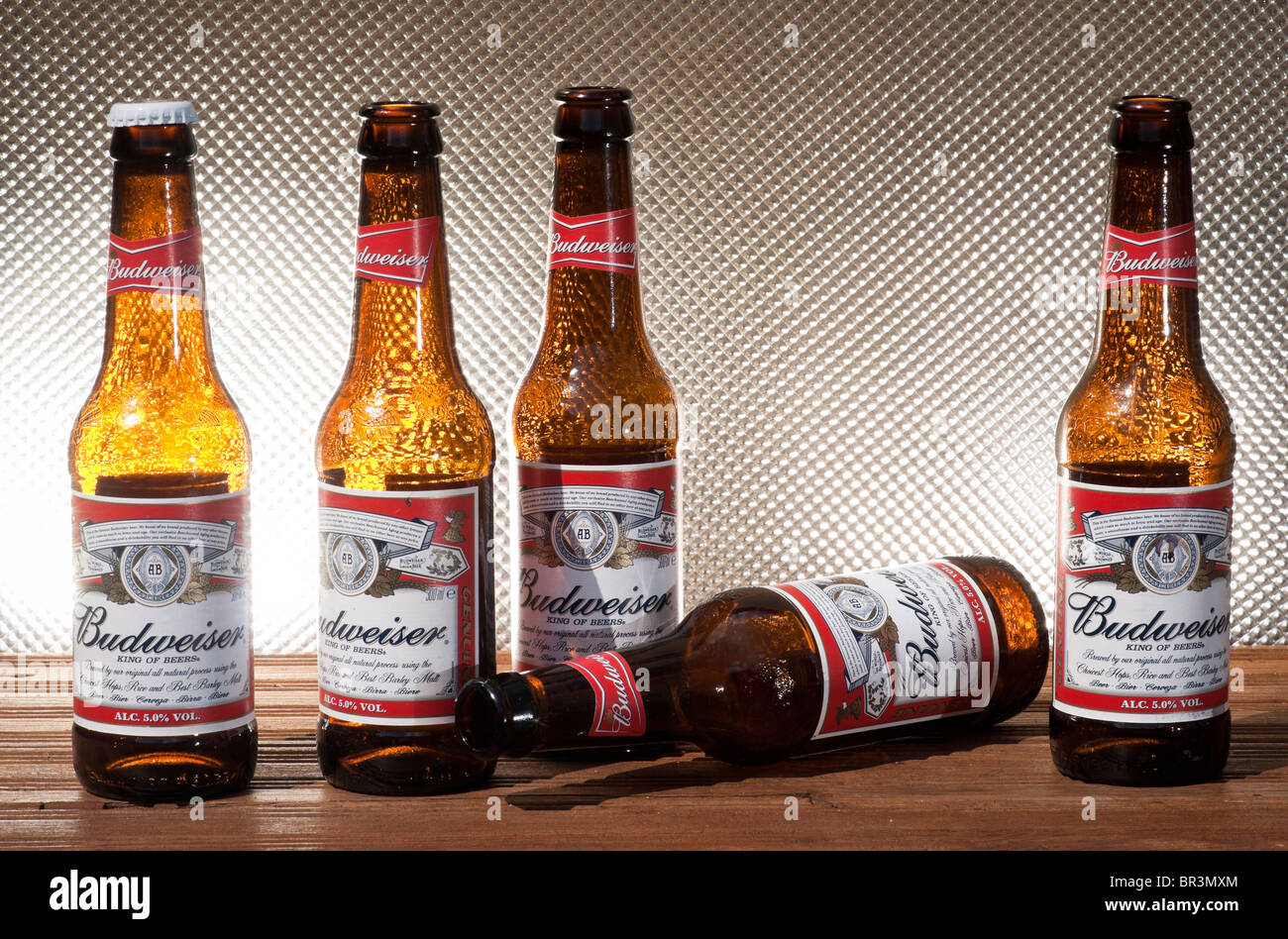 Bouteilles de bière Budweiser Banque D'Images