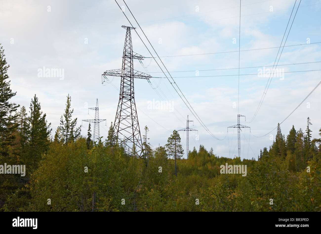 Bois avec plusieurs support à haute tension contre le ciel Banque D'Images