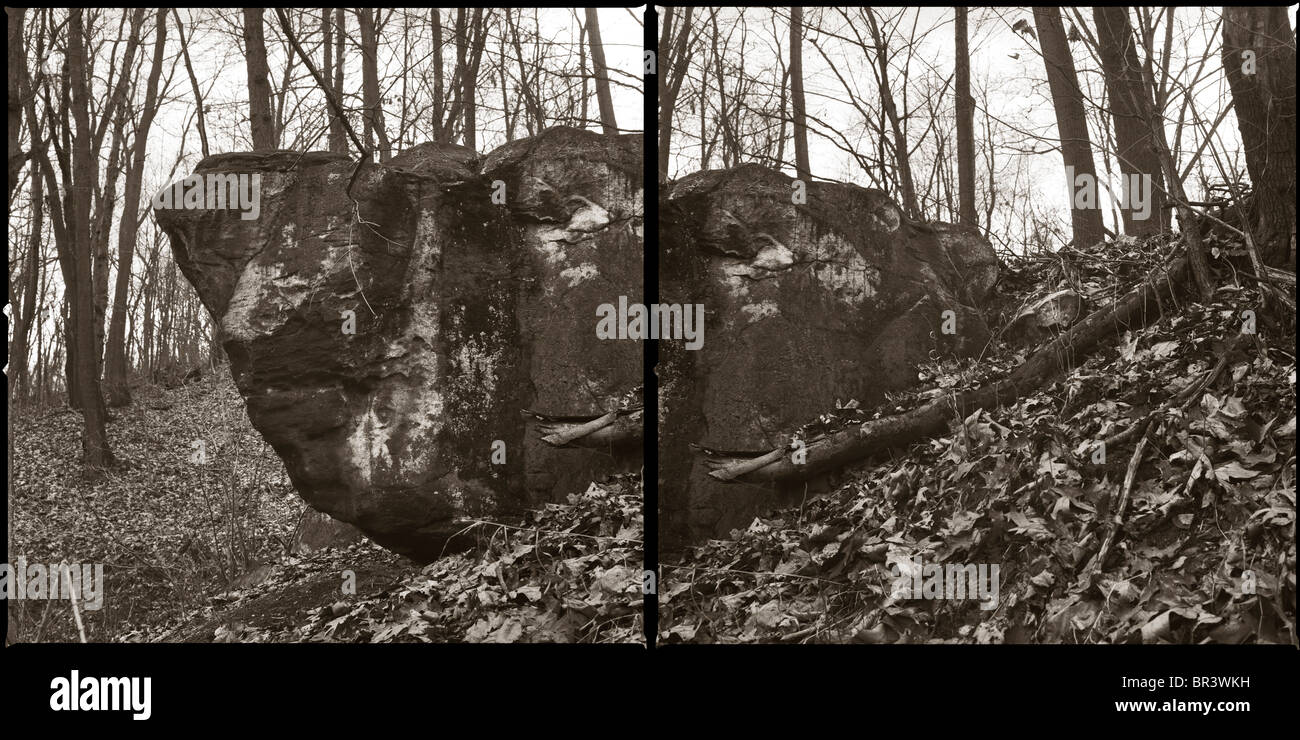 Un diptyque d'un gros rocher dans la forêt de l'ouest de la Pennsylvanie. Banque D'Images