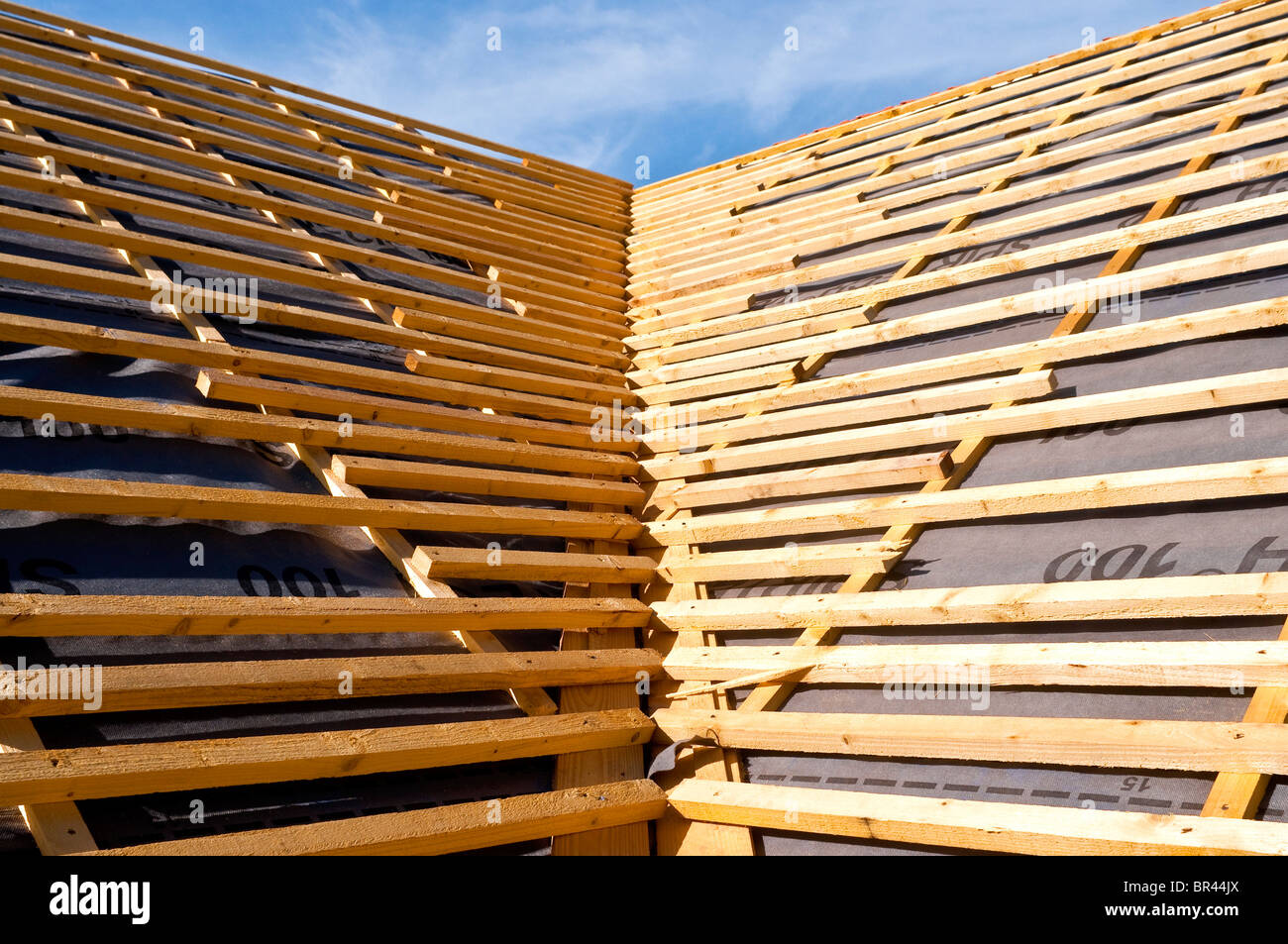 Bungalow nouvelle vallée aigu de la construction de toit bois Charpente Bois pin montrant - Indre-et-Loire, France. Banque D'Images