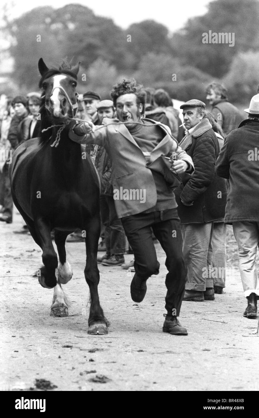Appleby Horse Fair 1980s. Chevaux, homme gitan montrant le cheval qui est à vendre. Les courir dans la rue pour montrer vitesse et agilité. Appleby à Westmorland, Cumbria Royaume-Uni 1981 HOMER SYKES Banque D'Images