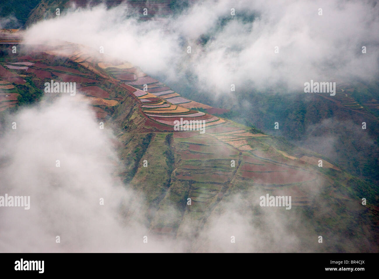 Terre rouge, terres agricoles de blé dans la montagne, Yunnan, Chine Banque D'Images