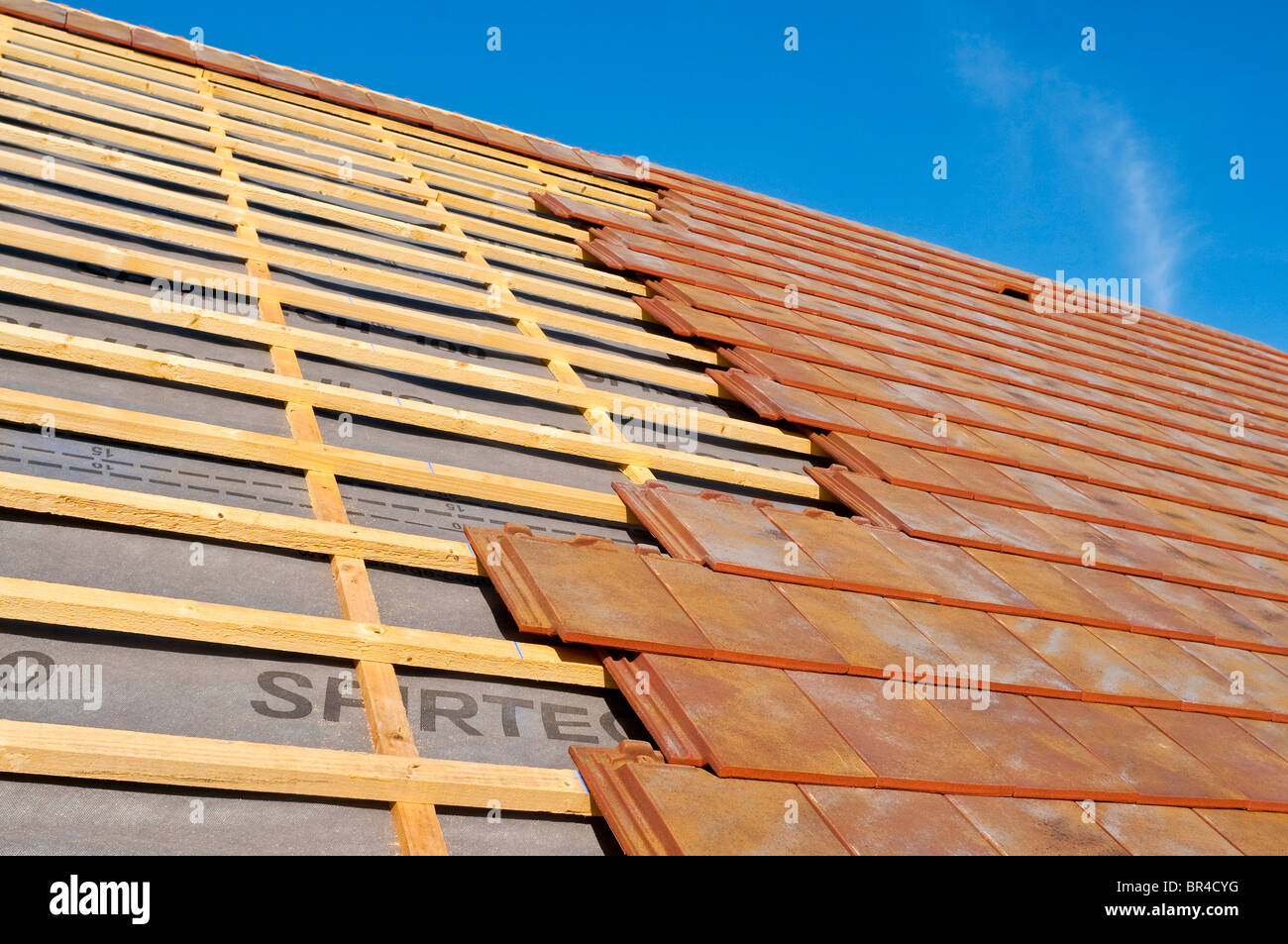 Bungalow nouvelle toiture bois montrant la construction bois charpente pin rouge et d'argile - Indre-et-Loire, France. Banque D'Images