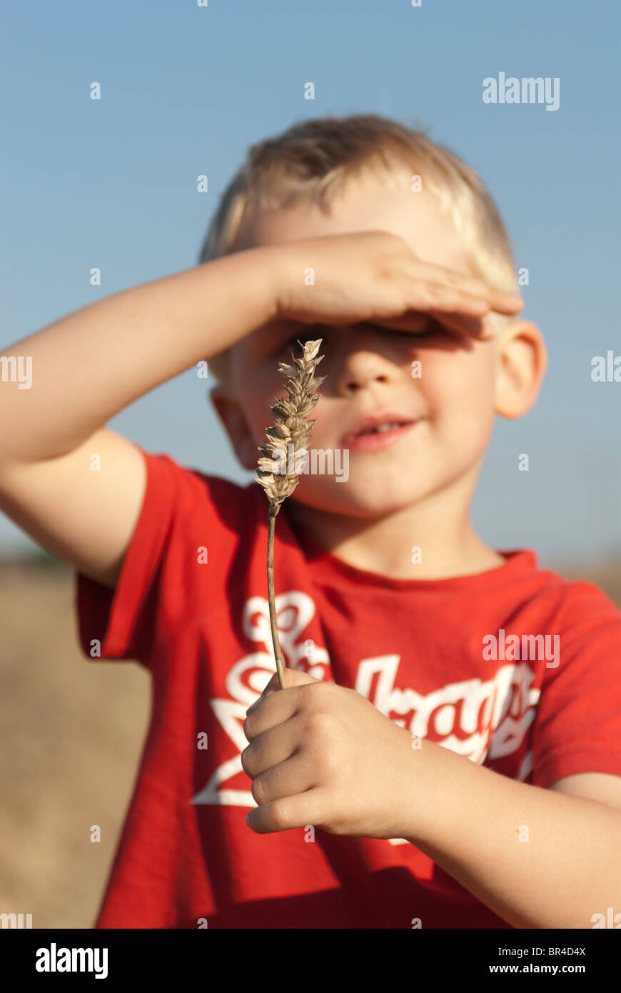 Portrait d'enfant garçon blond avec morceau de blé holding dans la main Banque D'Images