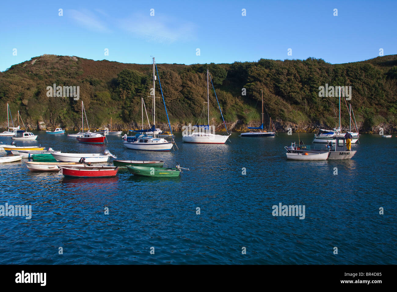 Port de Solva à marée haute, Galles Pembrokeshire Coast national park UK Voir 105563 Solva Banque D'Images