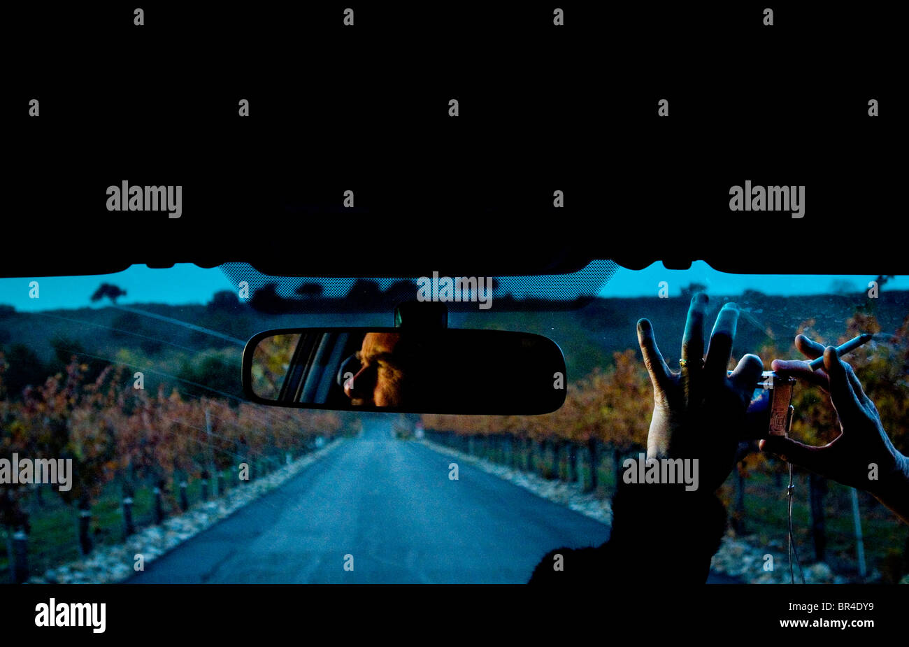 Un homme regarde à la fenêtre de voiture au fading sun, tandis que sa femme prend une photo qu'ils quittent un vignoble dans la région de Los Olivos, Califo Banque D'Images