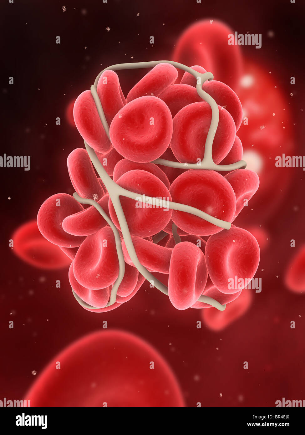 caillot de sang Banque D'Images