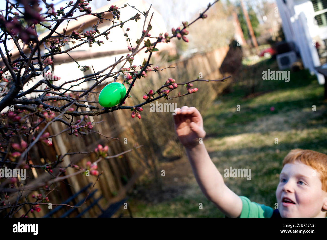 Un garçon cherche un œuf de pâques à Baltimore, MD. Banque D'Images