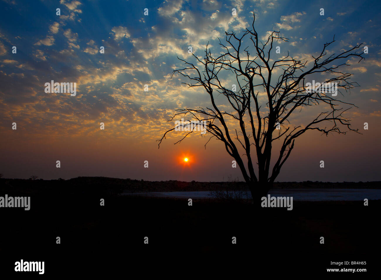 Coucher du soleil à Bitterpan, Transfontier Kgalagadi Park Banque D'Images