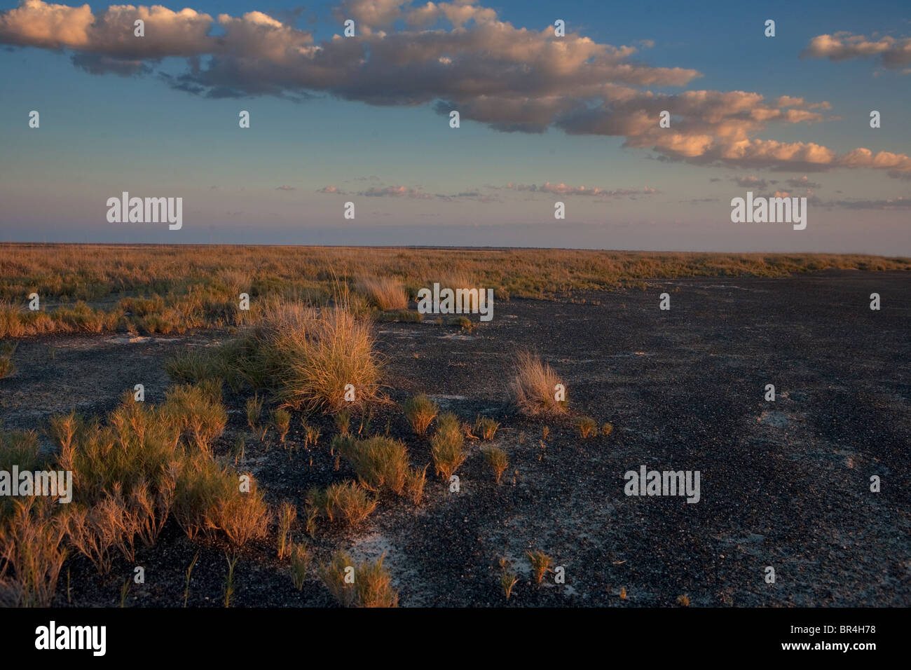 Nxai Pan National Park, Botswana Banque D'Images