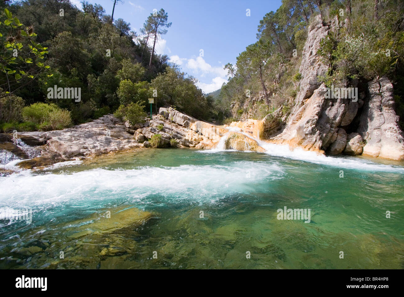 Petite cascade sur le Rio Borosa, le Parc National de Cazorla, Espagne Banque D'Images