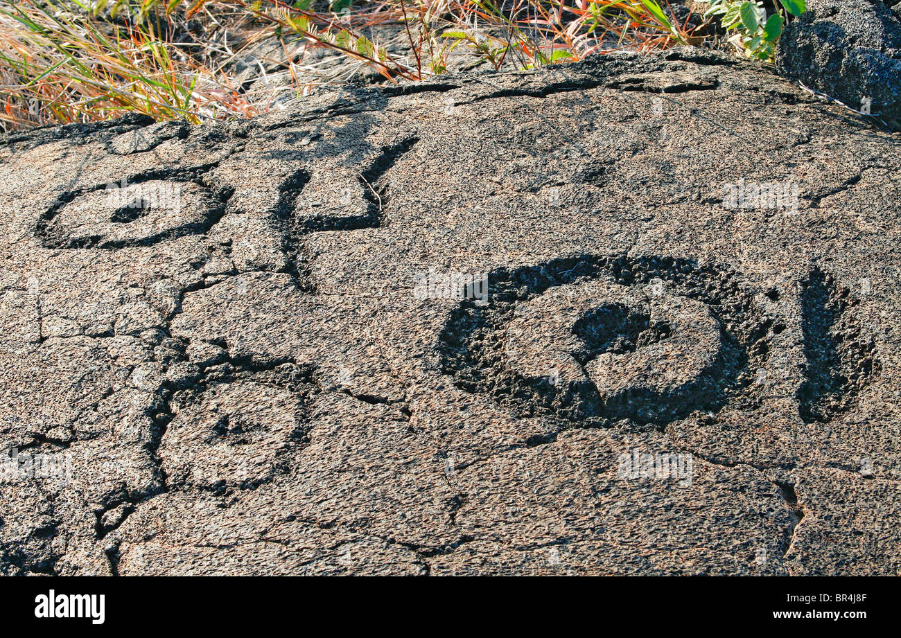 Petroglyph, Pu'u Loa Petroglyph Trail Banque D'Images