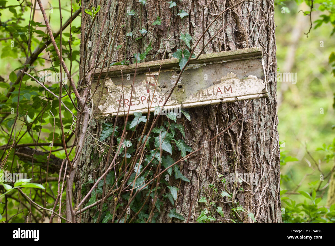 Privé pourri Trespassers William signer dans un bois près du village de Cotswold Kineton, Gloucestershire Banque D'Images