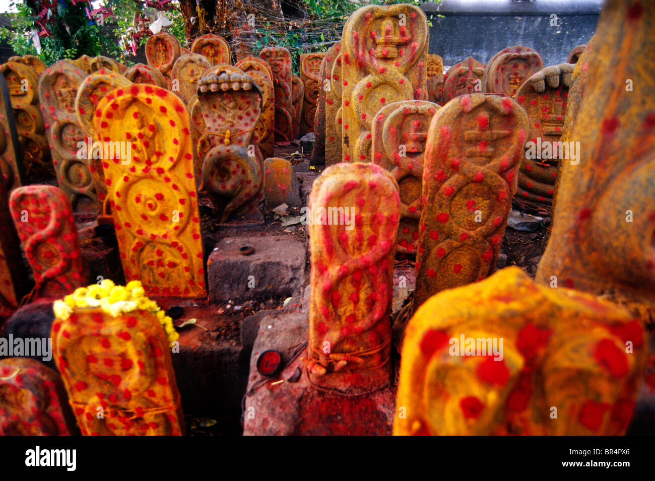 Pierres de Naga (serpent) pierres Kanchipuram, dans le Tamil Nadu, Inde. Banque D'Images