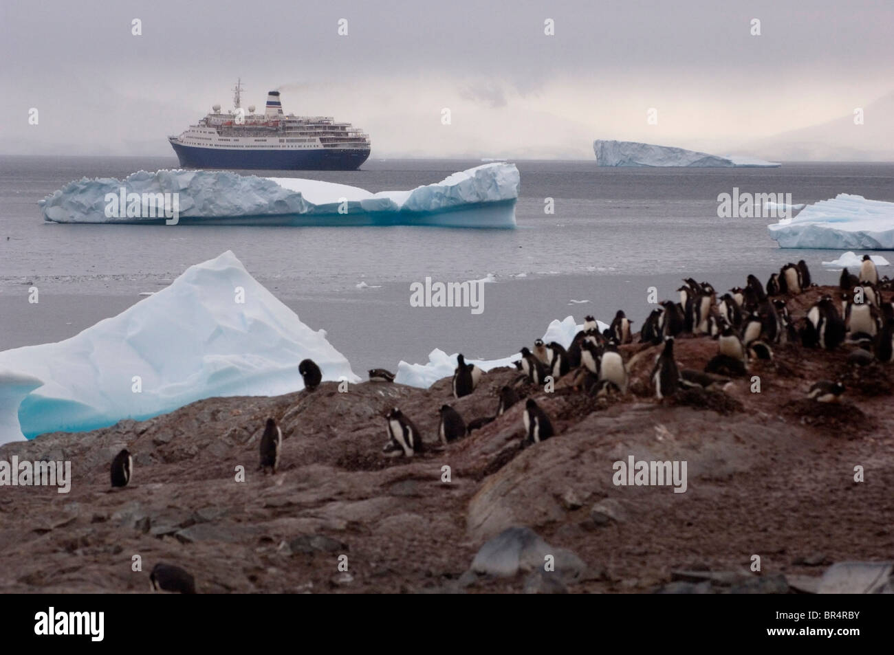 Regardez sur les pingouins comme un bateau de croisière s'éloigne de la côte ouest de la péninsule Antarctique connu sous le nom de la Terre de Graham. Banque D'Images