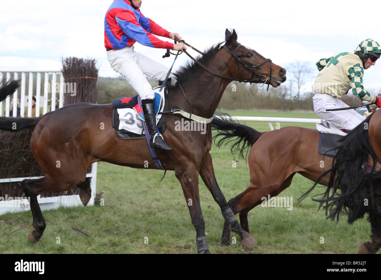 Horse and jockey maladroitement d'atterrissage après un saut dans une course de point à point Banque D'Images