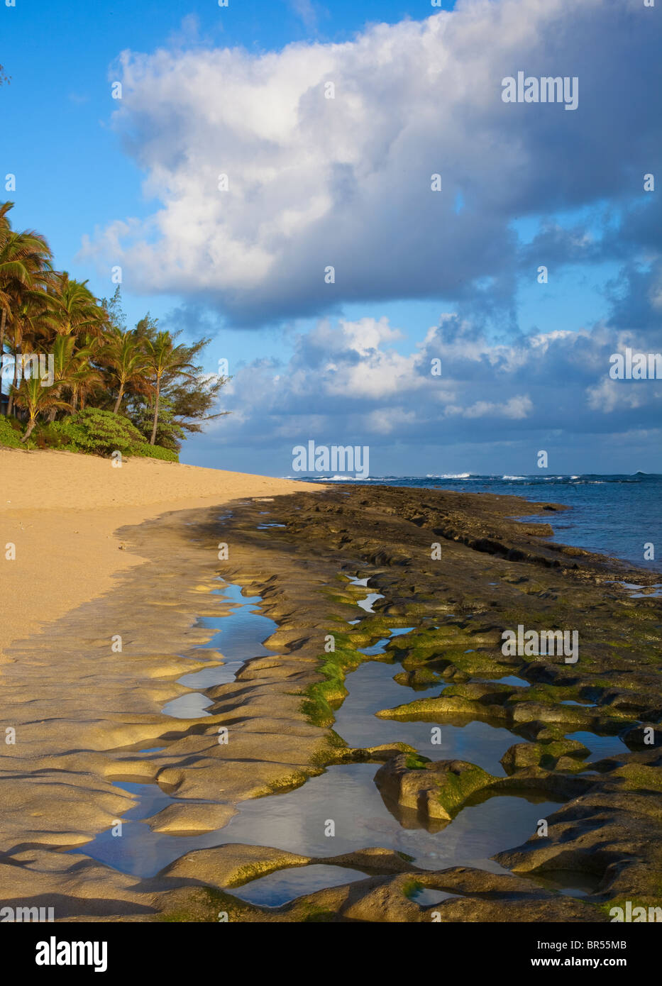 Kauai, Hawaii rock texturé de Haena Beach sur la côte nord de Kauai Banque D'Images