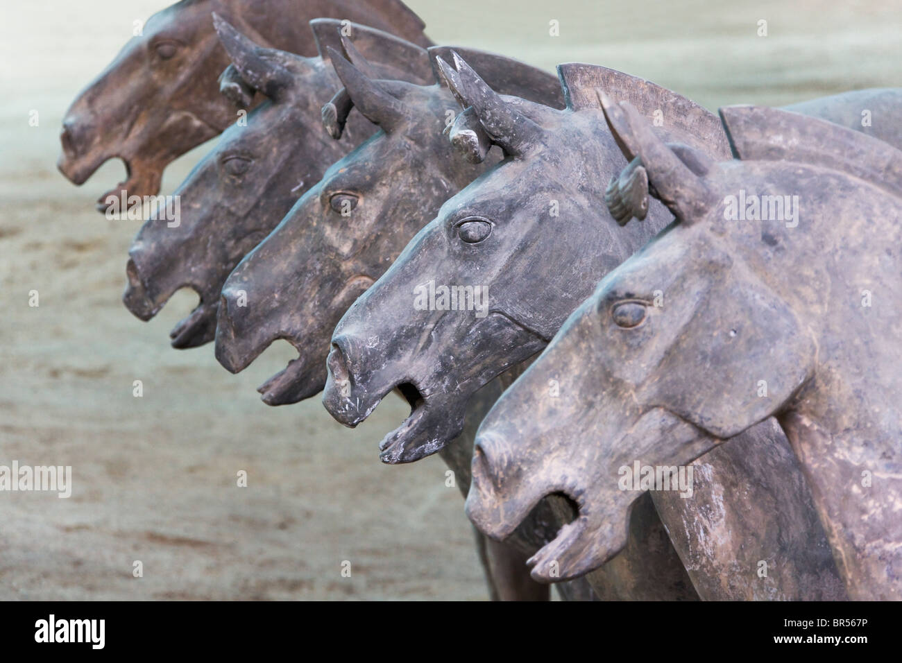 Les chevaux en terre cuite du tombeau de l'Empereur Qinshihuangdi, Xian, Province du Shaanxi, Chine Banque D'Images