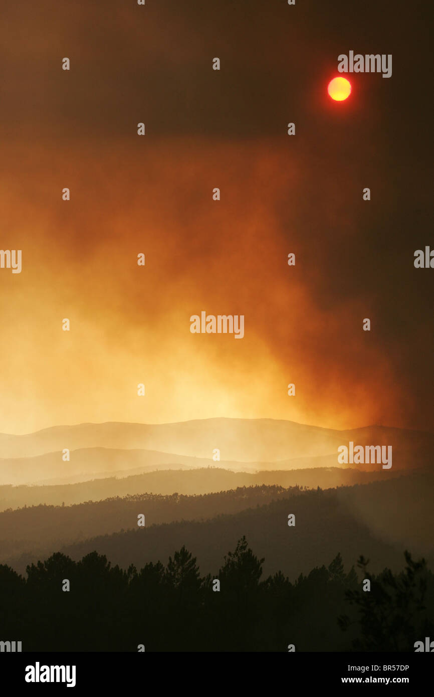 Soleil brille à travers la fumée d'un incendie de forêt Banque D'Images