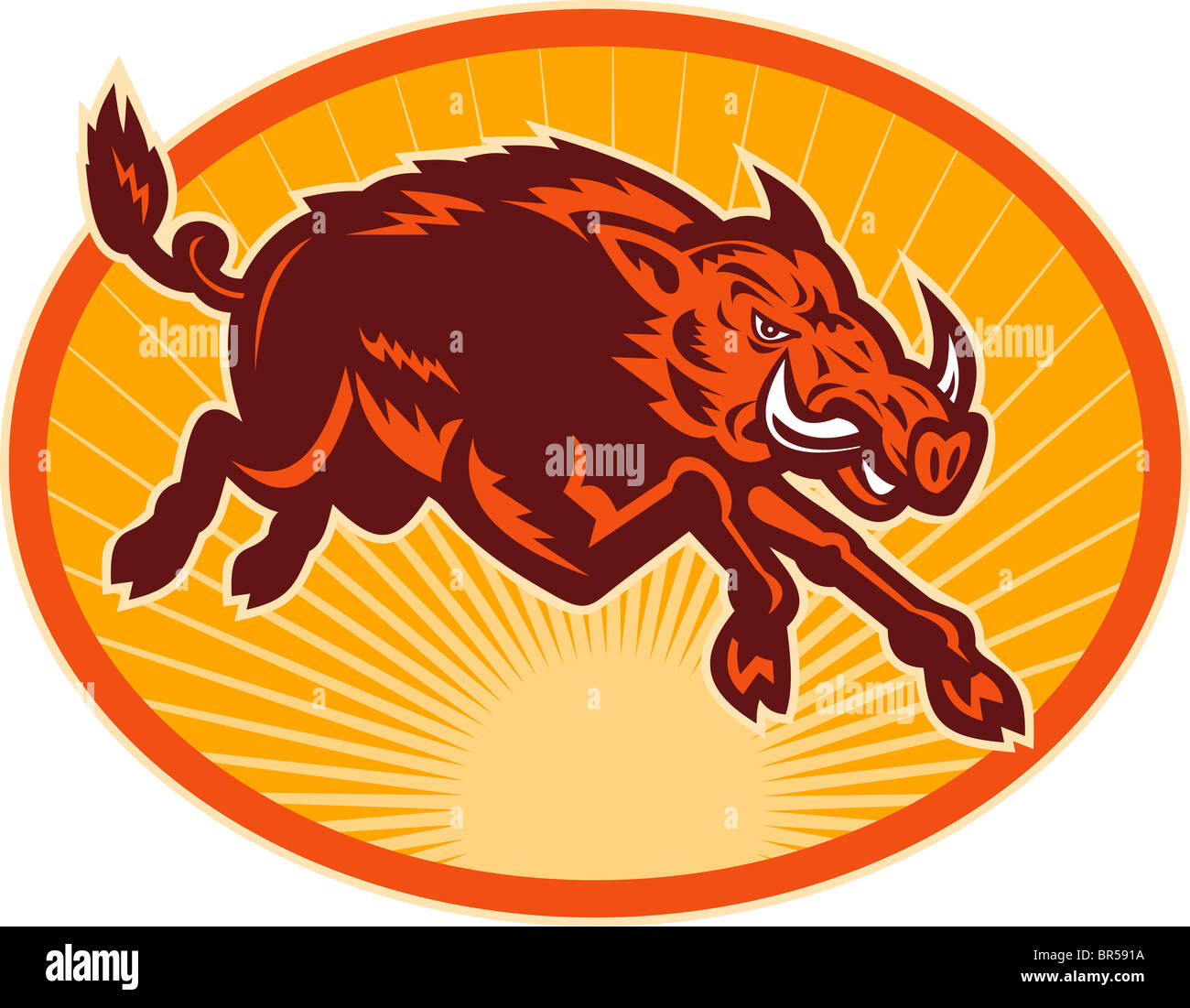 Illustration d'une attaque de charge razorback le sanglier ou cochon situé à l'intérieur d'un ovale. Banque D'Images Illustration d'une attaque de charge razorback le sanglier ou cochon situé à l'intérieur d'un ovale. Banque D'Images