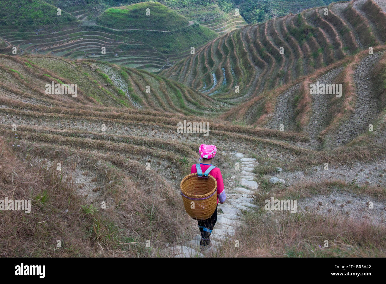 Zhuang girl carrying basket dans la montagne, Longsheng, Guangxi, Chine Banque D'Images