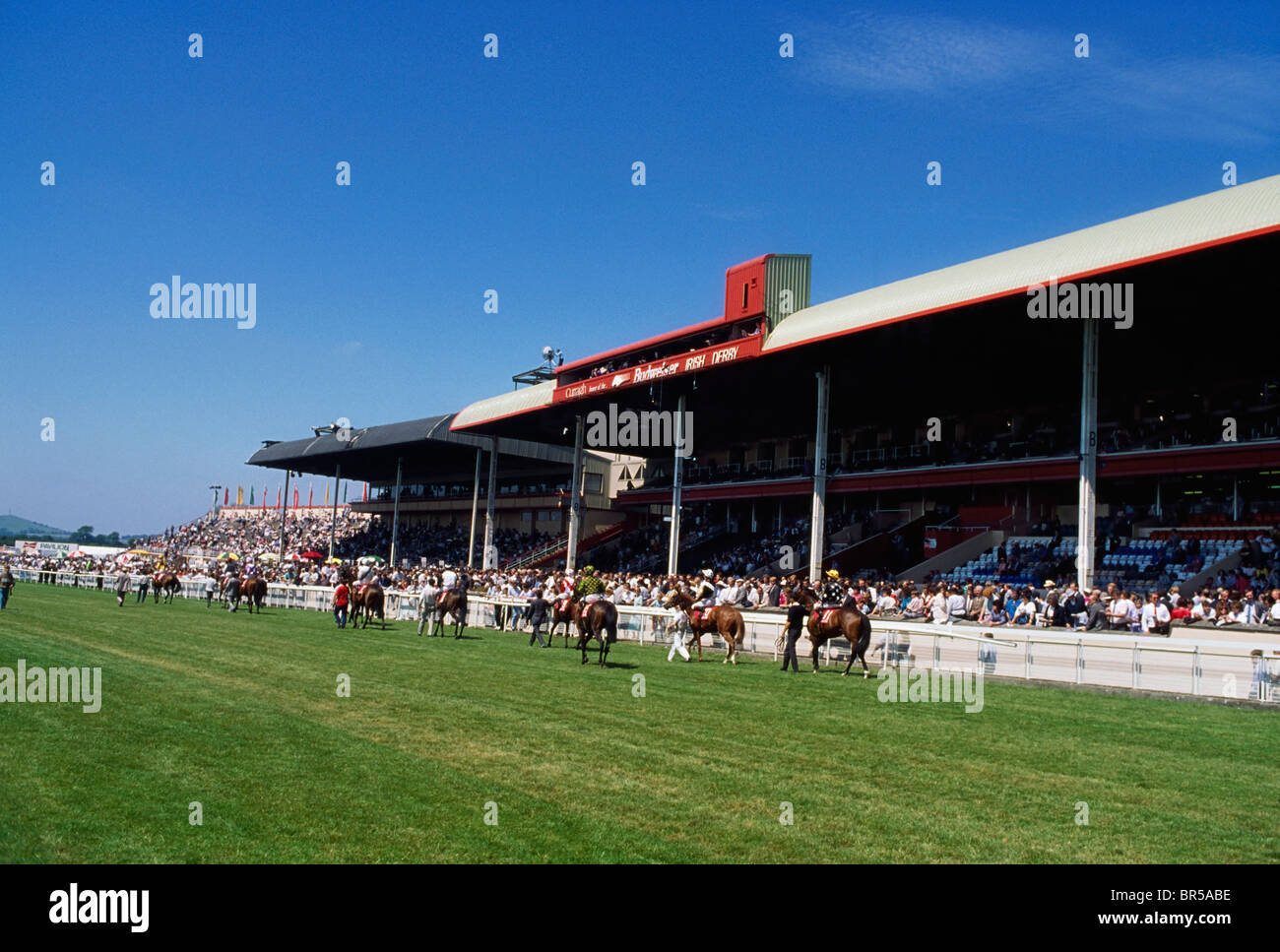 Le Curragh, Co Kildare, Irlande, l'Hippodrome de Curragh, courses de chevaux, Derby Day Banque D'Images