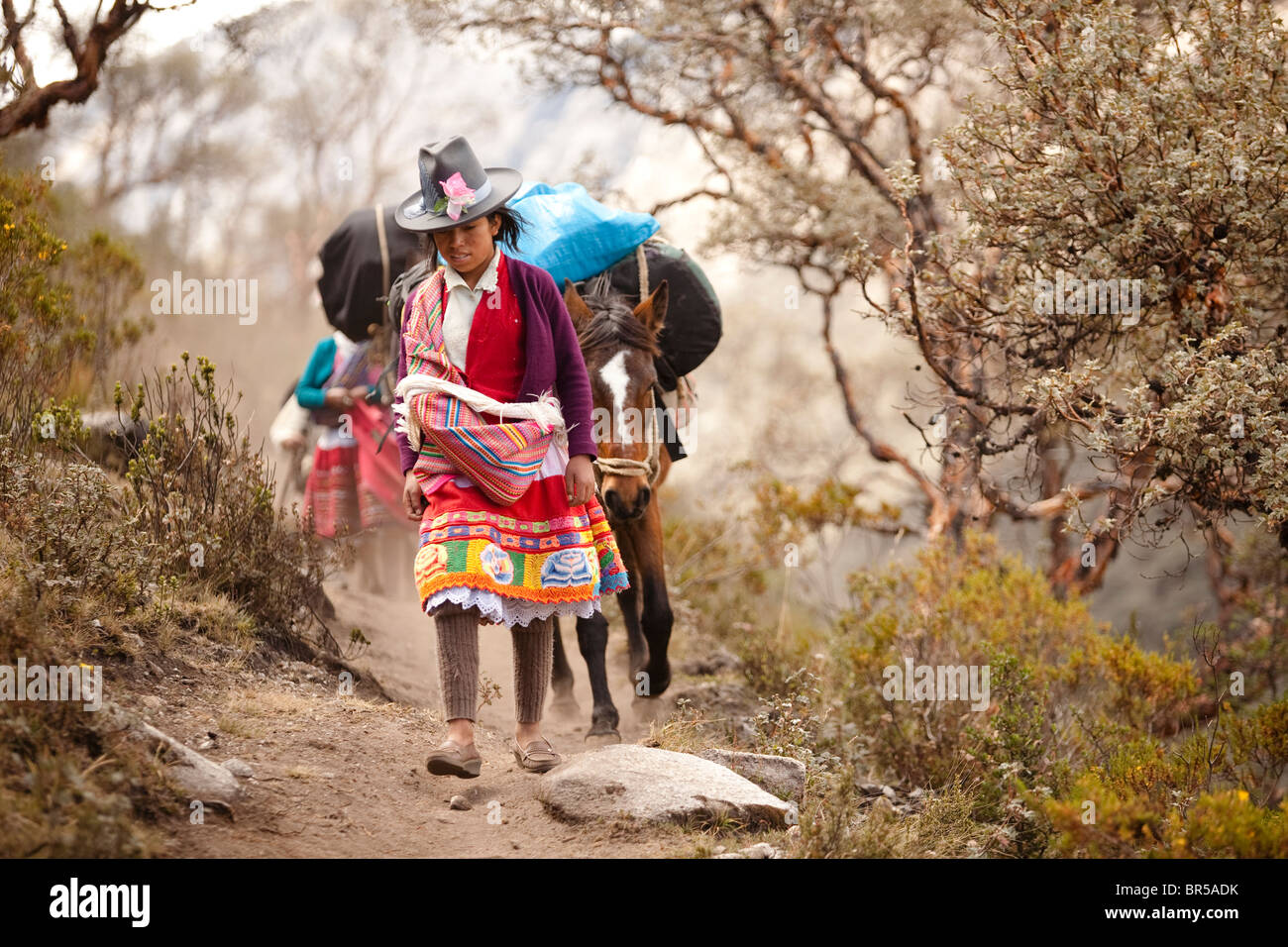 Une jeune fille péruvienne habillé généralement avec les chevaux sur un sentier à La Quebrada Ishinca Cordillère Blanche du Pérou. Banque D'Images