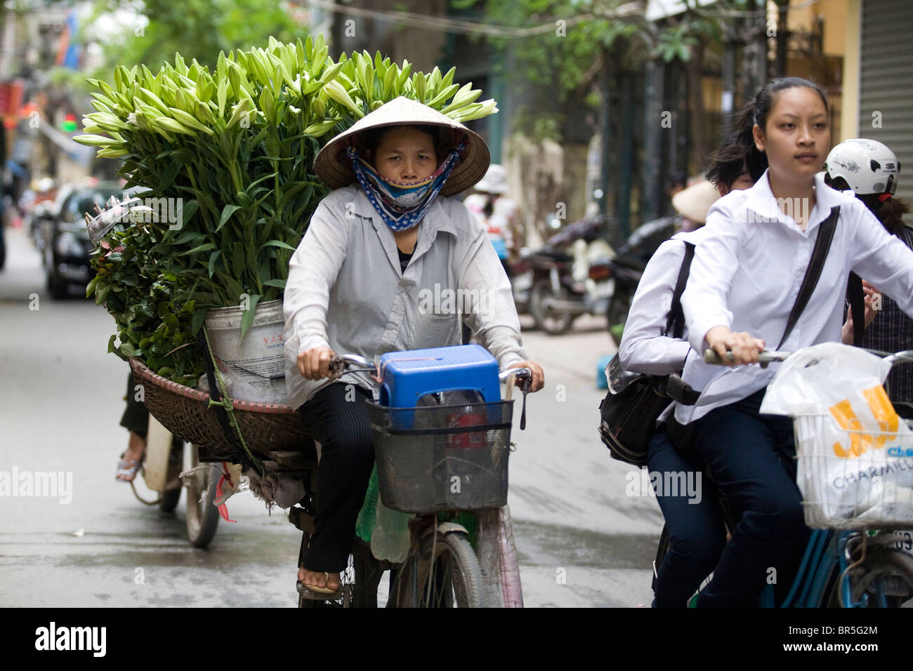 Fleur fleurs comptable fournisseurs vietnamiens sur le vélo Banque D'Images