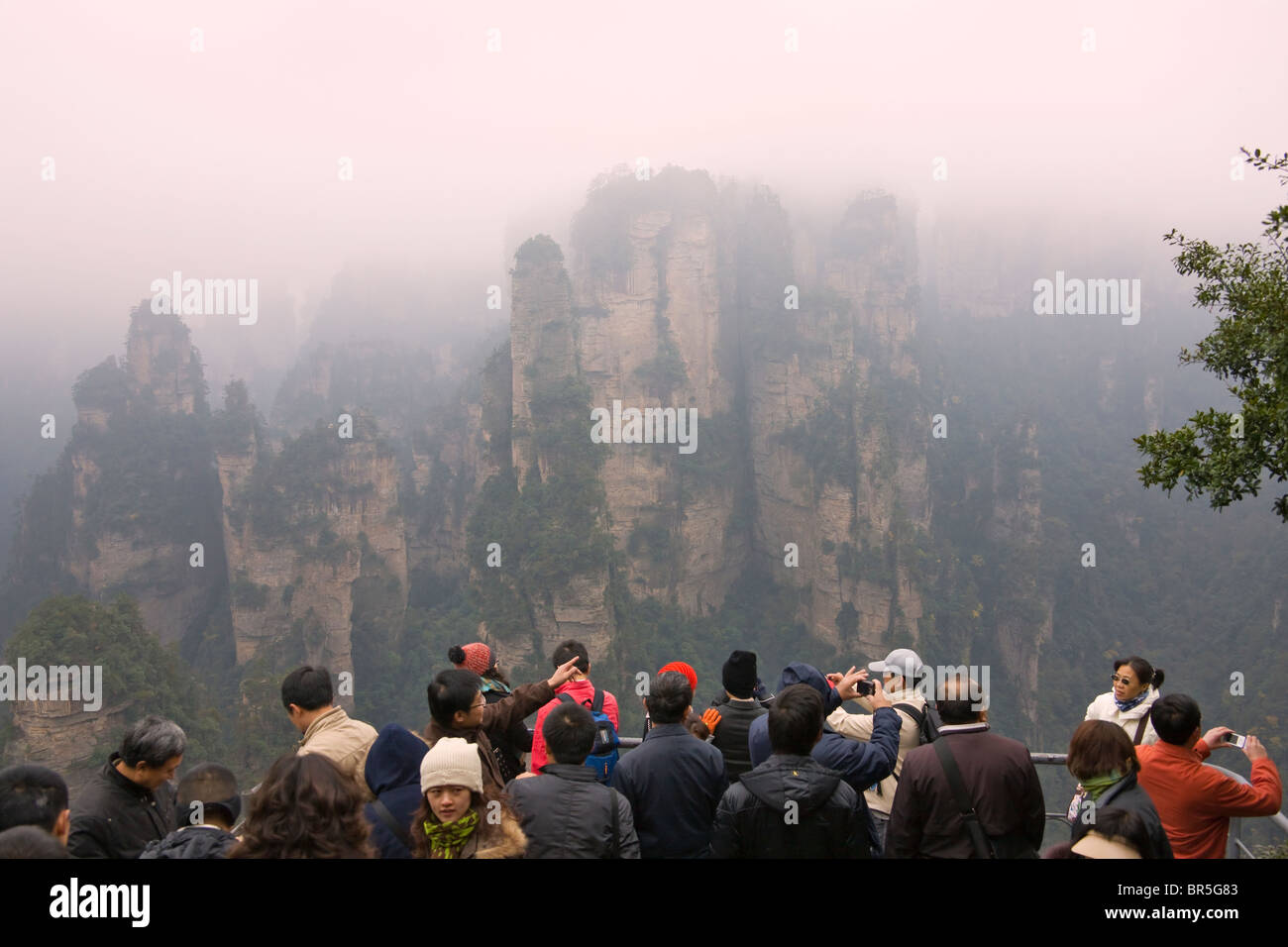 Les touristes regardant des pics de montagne, parc forestier national de Zhangjiajie, Wulingyuan Scenic Area, Province du Hunan, Chine Banque D'Images