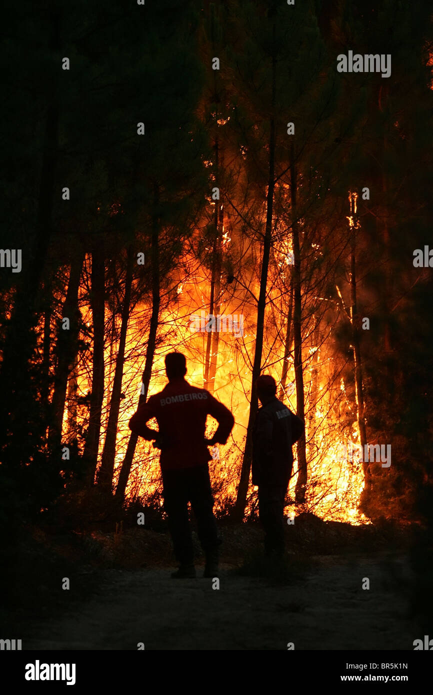 Deux pompiers impuissants silhouetté regardent le tronc des arbres brûler pendant un incendie de forêt sur une Banque D'Images