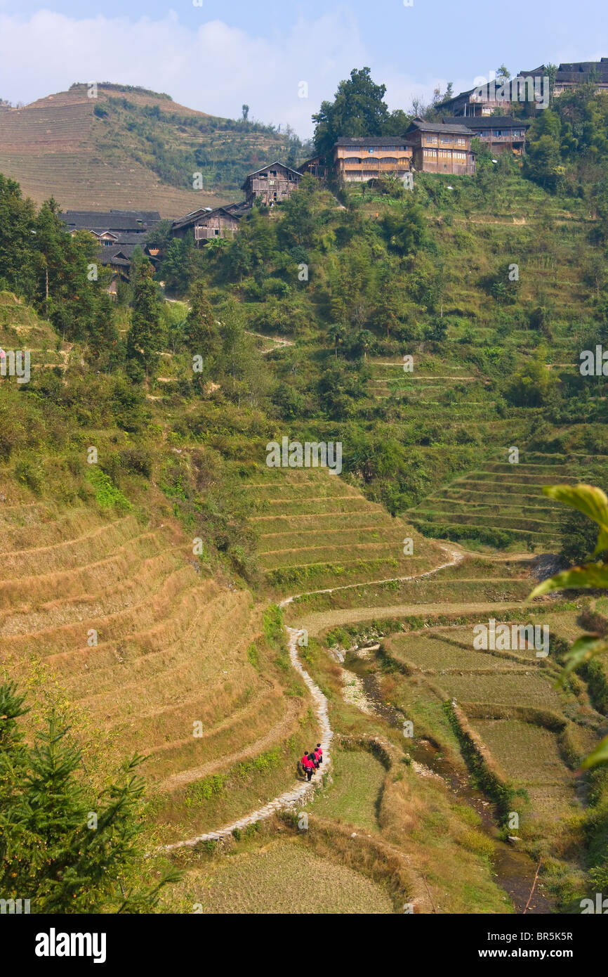 Yao rouge in la montagne avec des terrasses de riz, Longsheng, Guangxi, Chine Banque D'Images