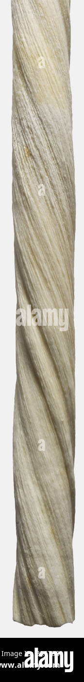 Une défense narval, une défense svelte du XXe siècle avec une structure hélicoïdale admirablement cultivée et une pointe bien définie. Patiné au minimum. Longueur 144 cm. Le narval (Monodon monoceros) appartient aux Monodontidae. Dès la Renaissance, les défenses de ces mammifères marins étaient considérées comme les cornes des monocornes légendaires et étaient attribuées à des pouvoirs surnaturels. Objets historiques, artisanat historique, artisanat, artisanat, objets, alambics, coupures, coupures, coupures, coupes, beaux-arts, art, art, art artistique, artistique, artistique, artistique, artistique, artistique, artistique, artistique, artistique Banque D'Images