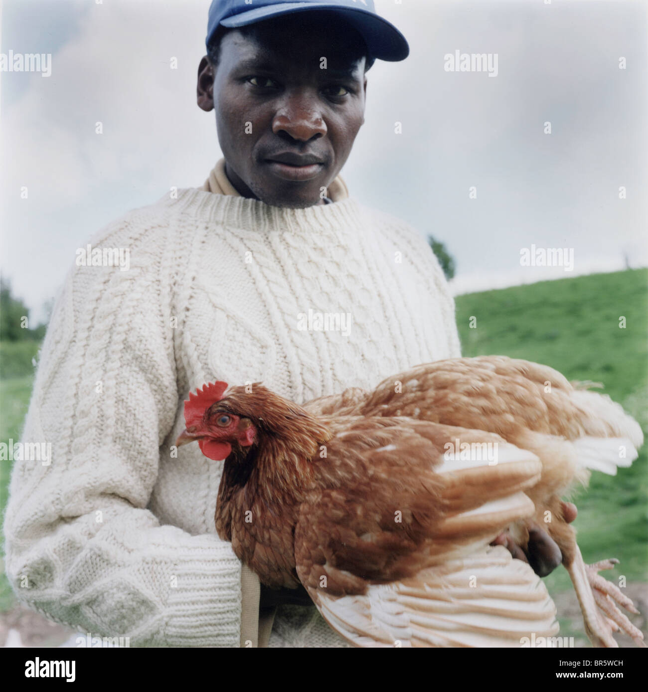 George de l'Ouganda au train comme un agriculteur biologique à Warren farm, Berkshire. Formation avec Kulika. Connu comme un 'Wwoofer'. Banque D'Images