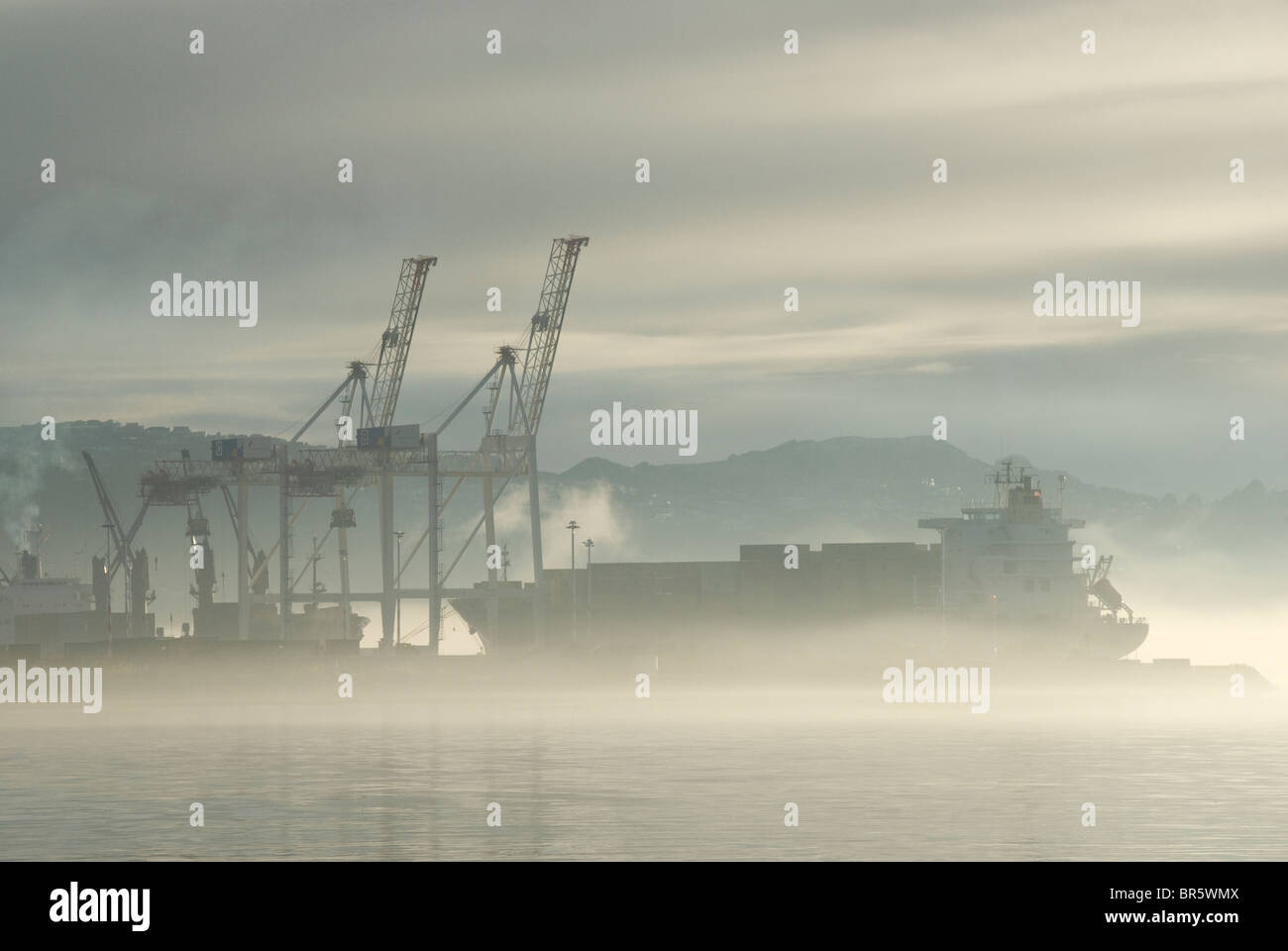 Navire à quai à conteneurs, tôt le matin, le port de Wellington, Île du Nord, Nouvelle-Zélande Banque D'Images