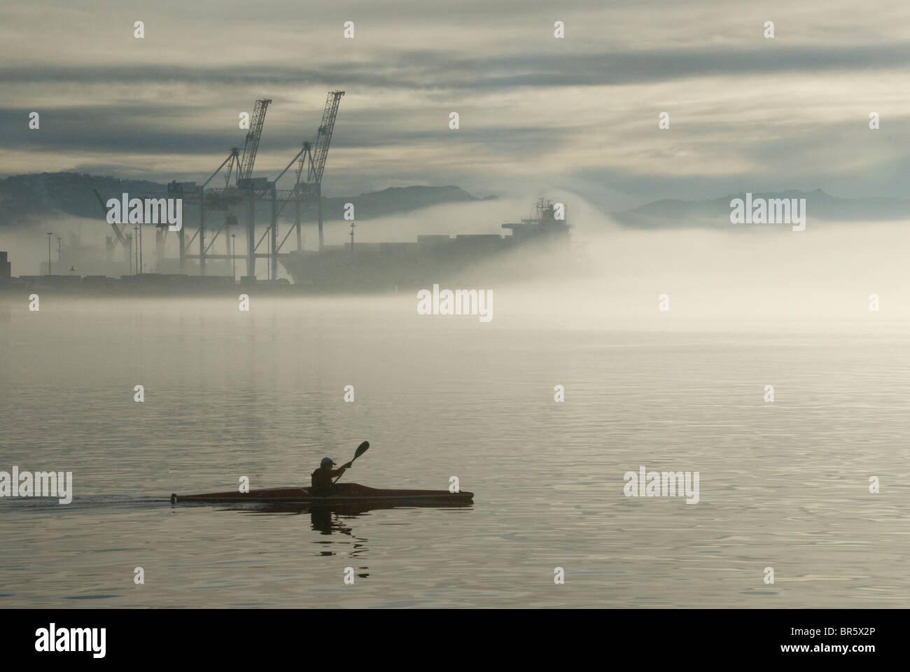 Kayak à l'avant du navire à quai à conteneurs, tôt le matin, le port de Wellington, Île du Nord, Nouvelle-Zélande Banque D'Images