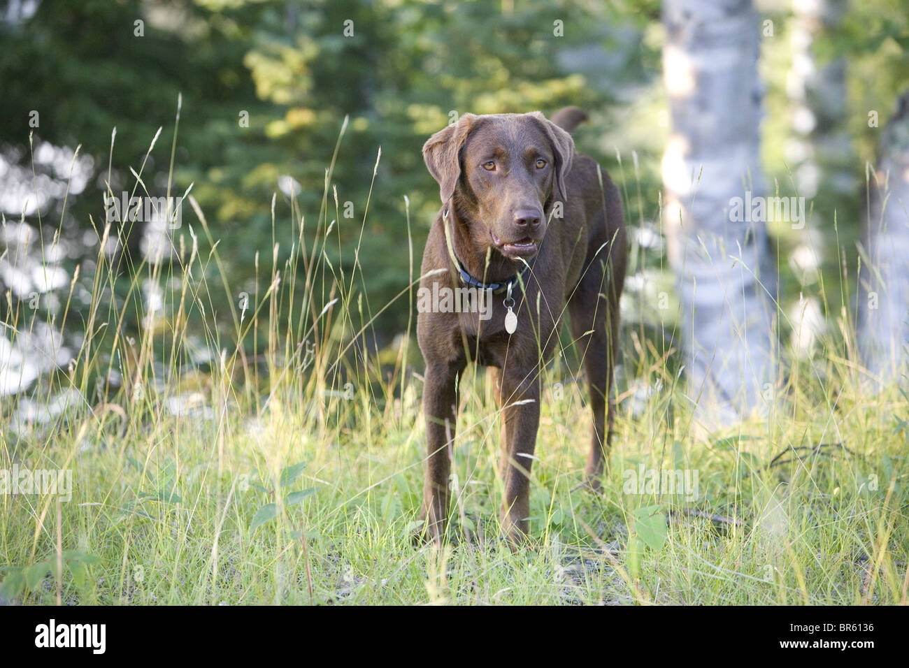 Wisconsin Banque D'Images