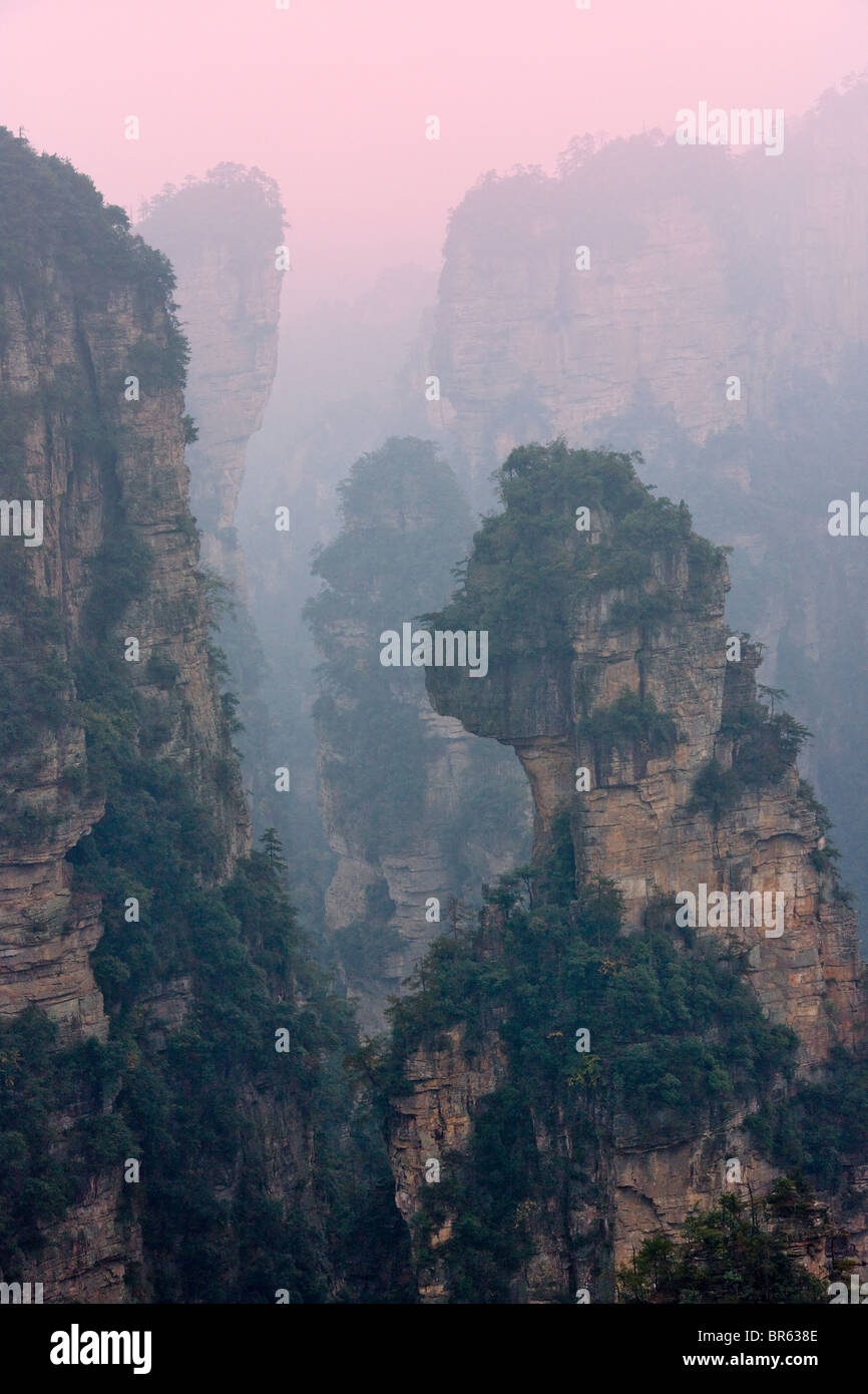 Des pics de montagne, parc forestier national de Zhangjiajie, Wulingyuan Scenic Area, Province du Hunan, Chine Banque D'Images