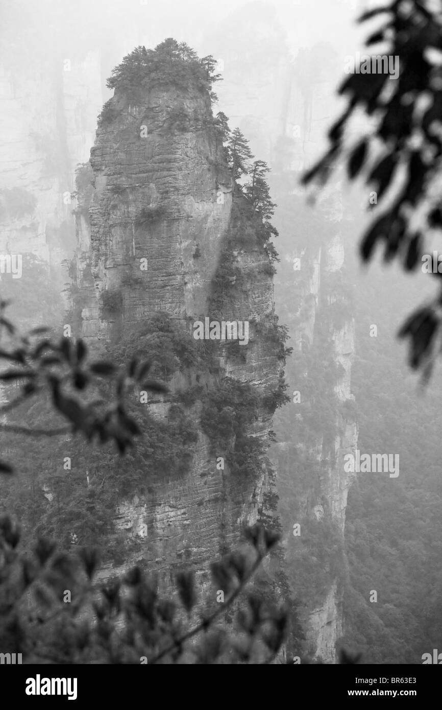 Des pics de montagne, parc forestier national de Zhangjiajie, Wulingyuan Scenic Area, Province du Hunan, Chine Banque D'Images