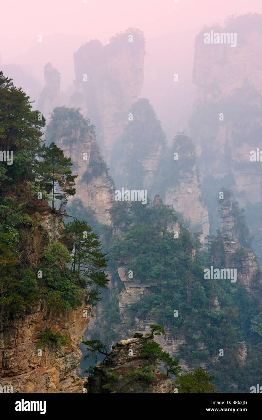 Des pics de montagne, parc forestier national de Zhangjiajie, Wulingyuan Scenic Area, Province du Hunan, Chine Banque D'Images