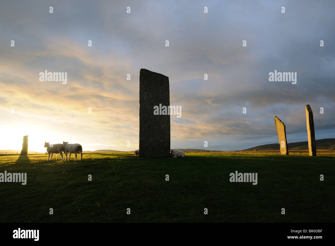 Les Pierres de Stenness au lever du soleil, l'Orkney Banque D'Images