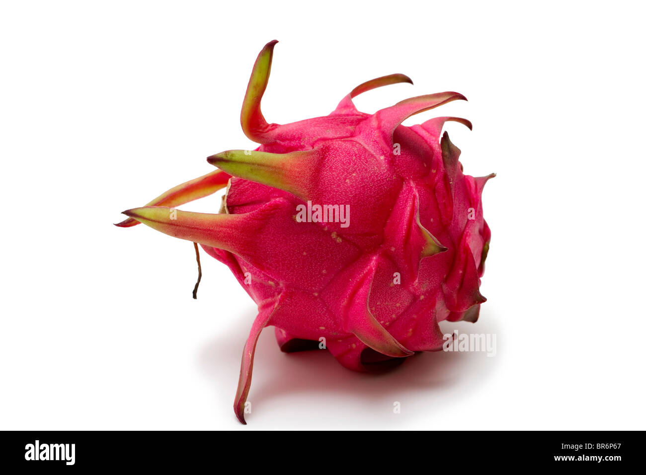 Pitaya ou Pitahaya, est généralement connu comme Dragonfruit. Ce délicieux fruits tropicaux exotiques peuvent avoir une chair blanche ou rouge. Banque D'Images