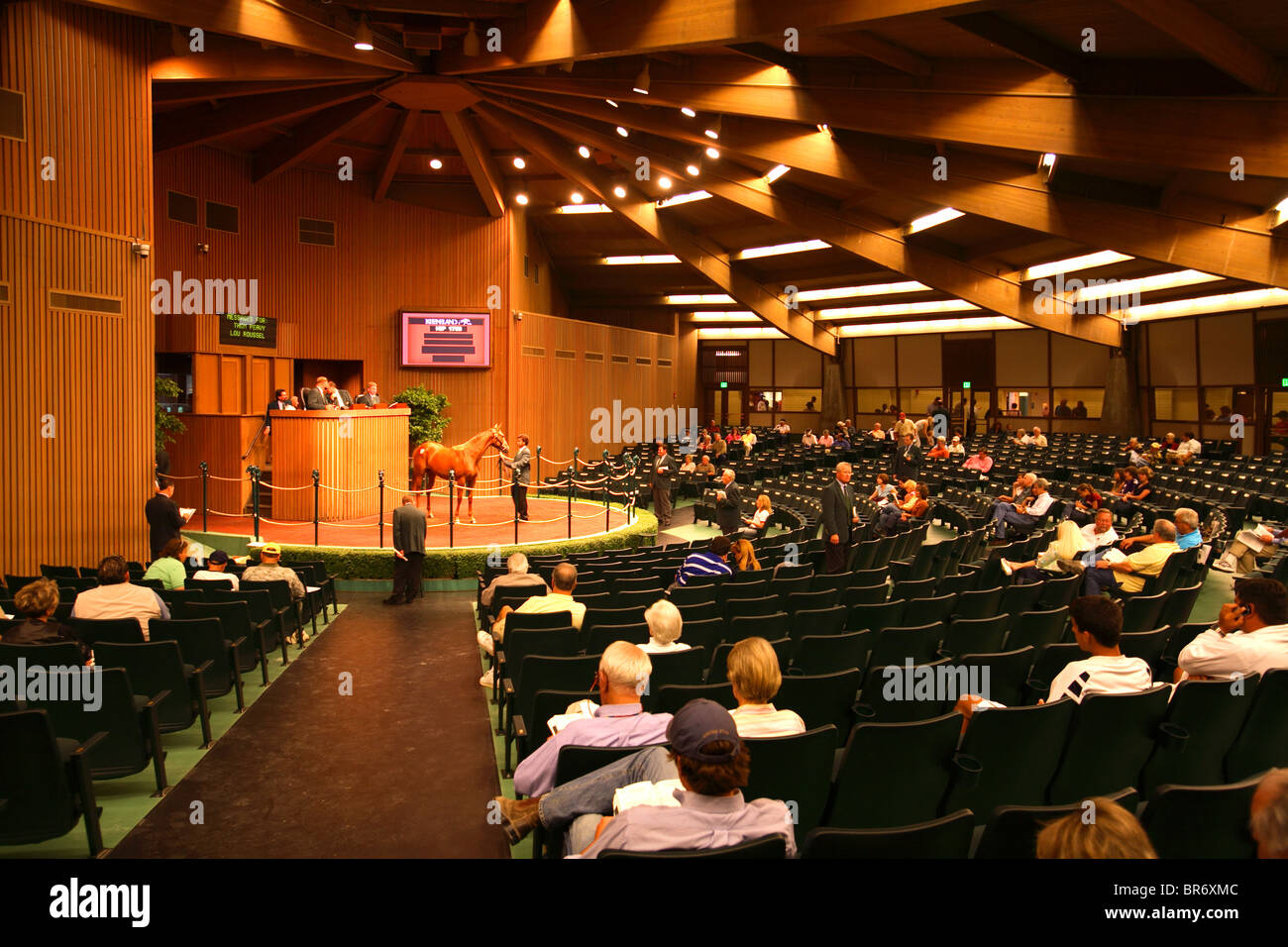 La vente aux enchères de chevaux à Keeneland Racetrack à Lexington KY. Banque D'Images