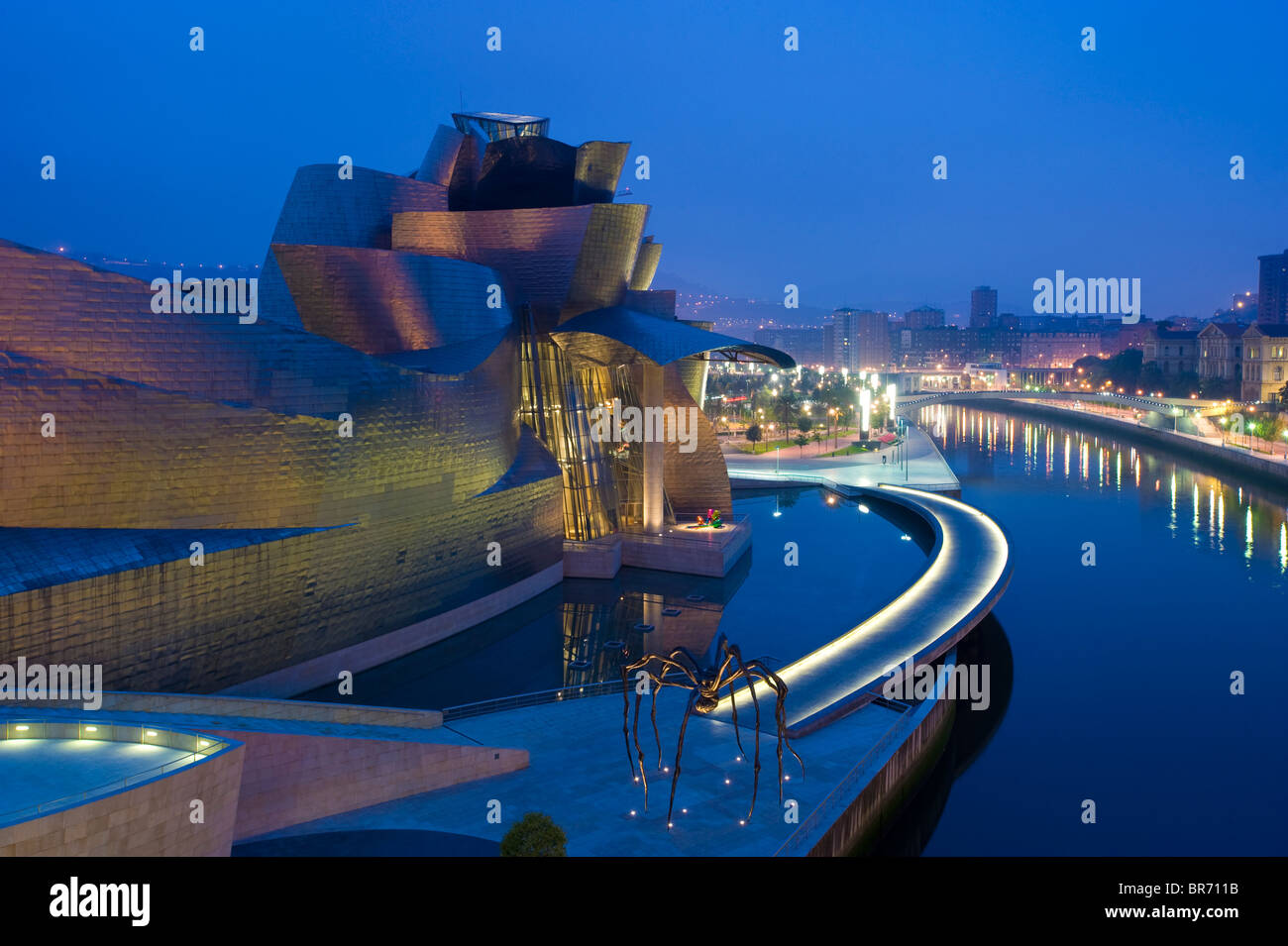 Musée Guggenheim dans la nuit, Nervion, Bilbao, Espagne du Nord, septembre 2008 Banque D'Images