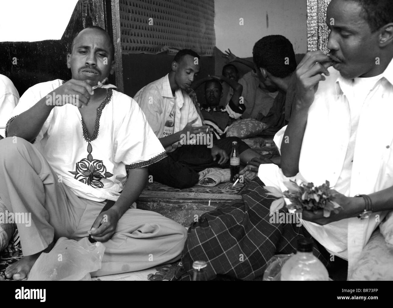 Khat chew do Banque de photographies et d’images à haute résolution Alamy